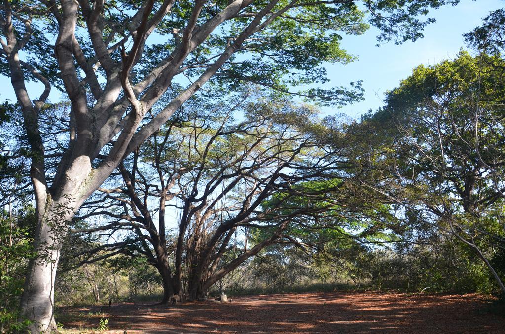 Pousada Terras Do Poente Vale do Capao Eksteriør bilde