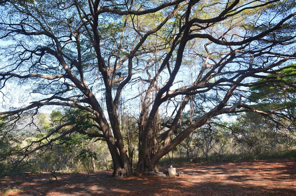Pousada Terras Do Poente Vale do Capao Eksteriør bilde